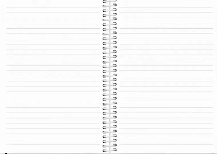 Burde Kalenterit>Kalenteri 2024 Scribble Ii A5