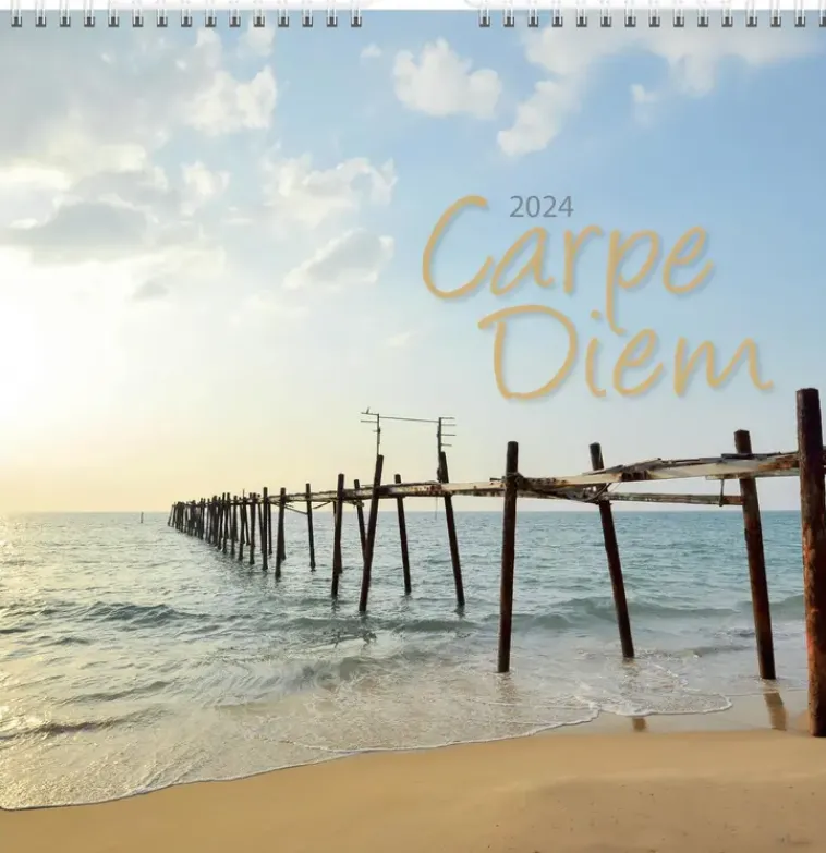 Burde Kalenterit>Seinakalenteri 2024 Carpe Diem