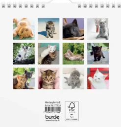 Burde Kalenterit></noscript>Seinakalenteri 2024 Kissanpennut