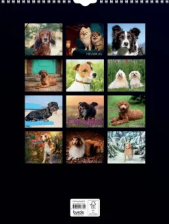 Burde Kalenterit></noscript>Seinakalenteri 2024 Koirat