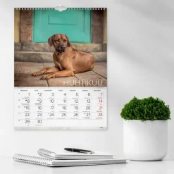 Burde Kalenterit></noscript>Seinakalenteri 2024 Koirat