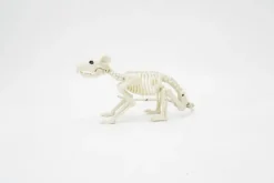 NNX Sesonkijuhlatarvikkeet>Halloween-Poytakoriste Hiiren Luuranko 38 Cm