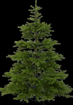 House Sesonkijuhlatarvikkeet>Joulukuusi Sipibe 210 Cm Vihrea