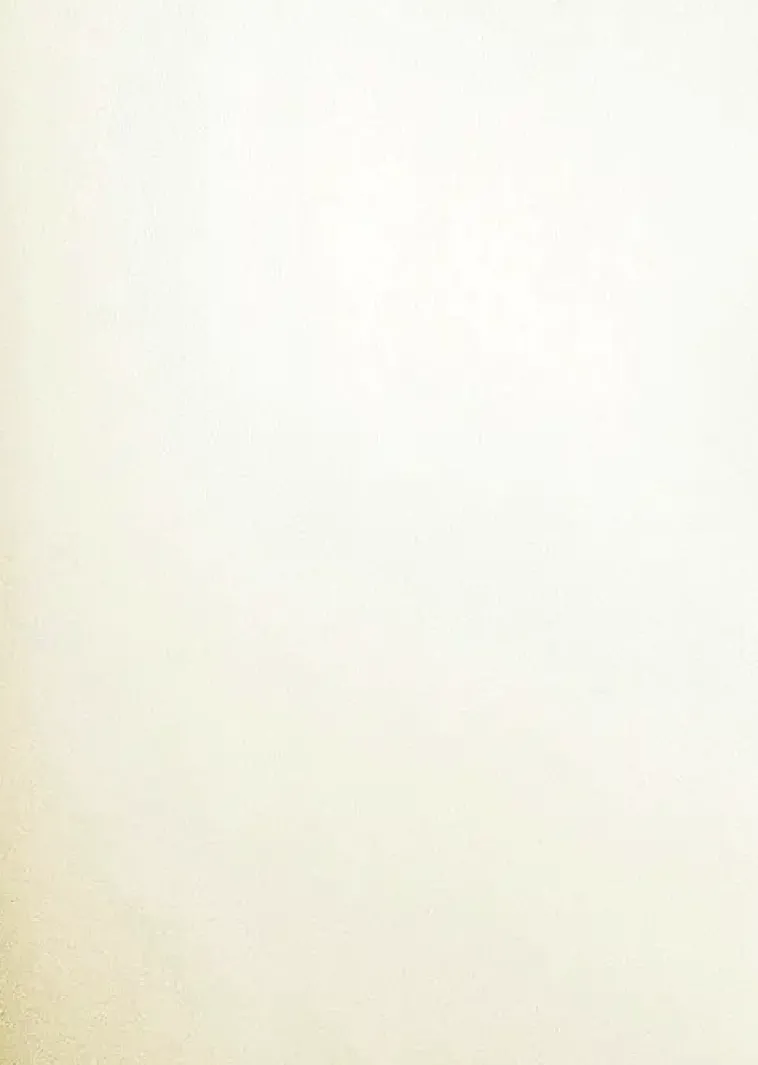 J.K. Primeco Askartelutarvikkeet>Helmiaispaperi Valkoinen Kultahohto A4 10Ark/Pkt