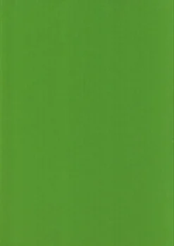 Karto Askartelutarvikkeet<nki A4 220Gsm Kirkkaan Vihrea 5Ark/Pss