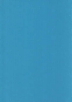 Karto Askartelutarvikkeet<nki A4 220Gsm Vaaleansininen 5Ark/Pss