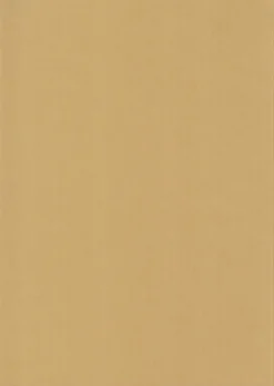 Karto Askartelutarvikkeet>nki Beige 50X70Cm 220Gsm 5Ark/Pss