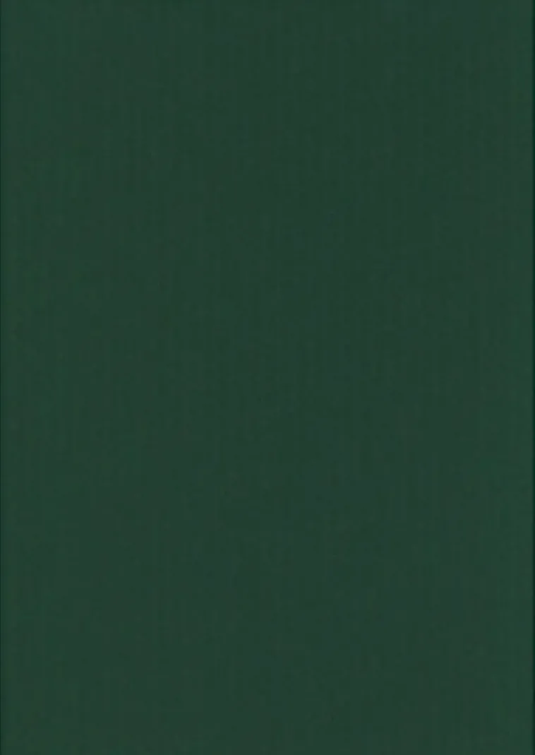 Karto Askartelutarvikkeet<nki Joulunvihrea 50X70Cm 220Gsm 5Ark/Pss