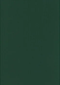 Karto Askartelutarvikkeet>Kortti Joulunvihrea 10X15Cm 220Gsm 10Kpl/Pss