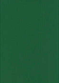 Karto Askartelutarvikkeet<Kortti Ruohonvihrea 10X15Cm 220Gsm 10Kpl/Pss