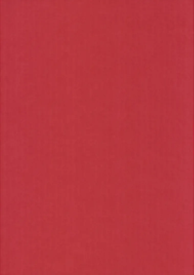 Karto Askartelutarvikkeet>Kortti Tummanrosa 10X15Cm 220Gsm 10Kpl/Pkt