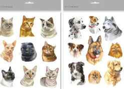 Kapel Askartelutarvikkeet<Kiiltokuvat