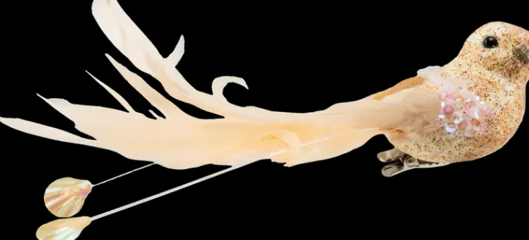 NNX Sesonkijuhlatarvikkeet>Lintu Glitter Klipsulla 2 Kpl