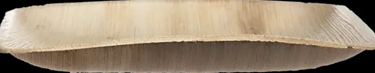 Maku Astiat>Palmunlehtilautanen 20X20 Cm 10 Kpl