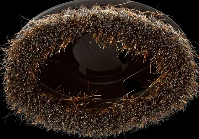 Nedis Imurit Ja Tarvikkeet<Polyharjasuulake Luonnonharjas Yleismallinen 30/32 /35 Mm