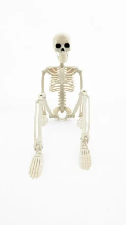 NNX Sesonkijuhlatarvikkeet>Roikkuva Luuranko 40Cm