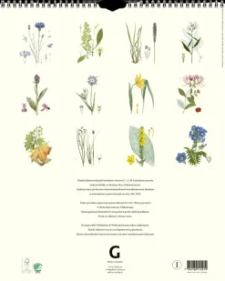 Art Collection Kalenterit>Seinakalenteri Kasvit Lindman 2024