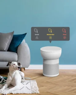 TCL Ilmastointi Ja Huoneilma<Breeva A2Ww Ilmanpuhdistin