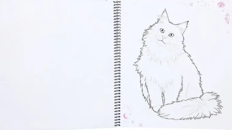 TOPModel Askartelutarvikkeet>Kitty Suunnittelukirja Moonlight