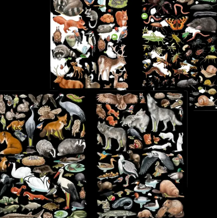 Creative Studio Askartelutarvikkeet<Wild Forest Tarrakirja